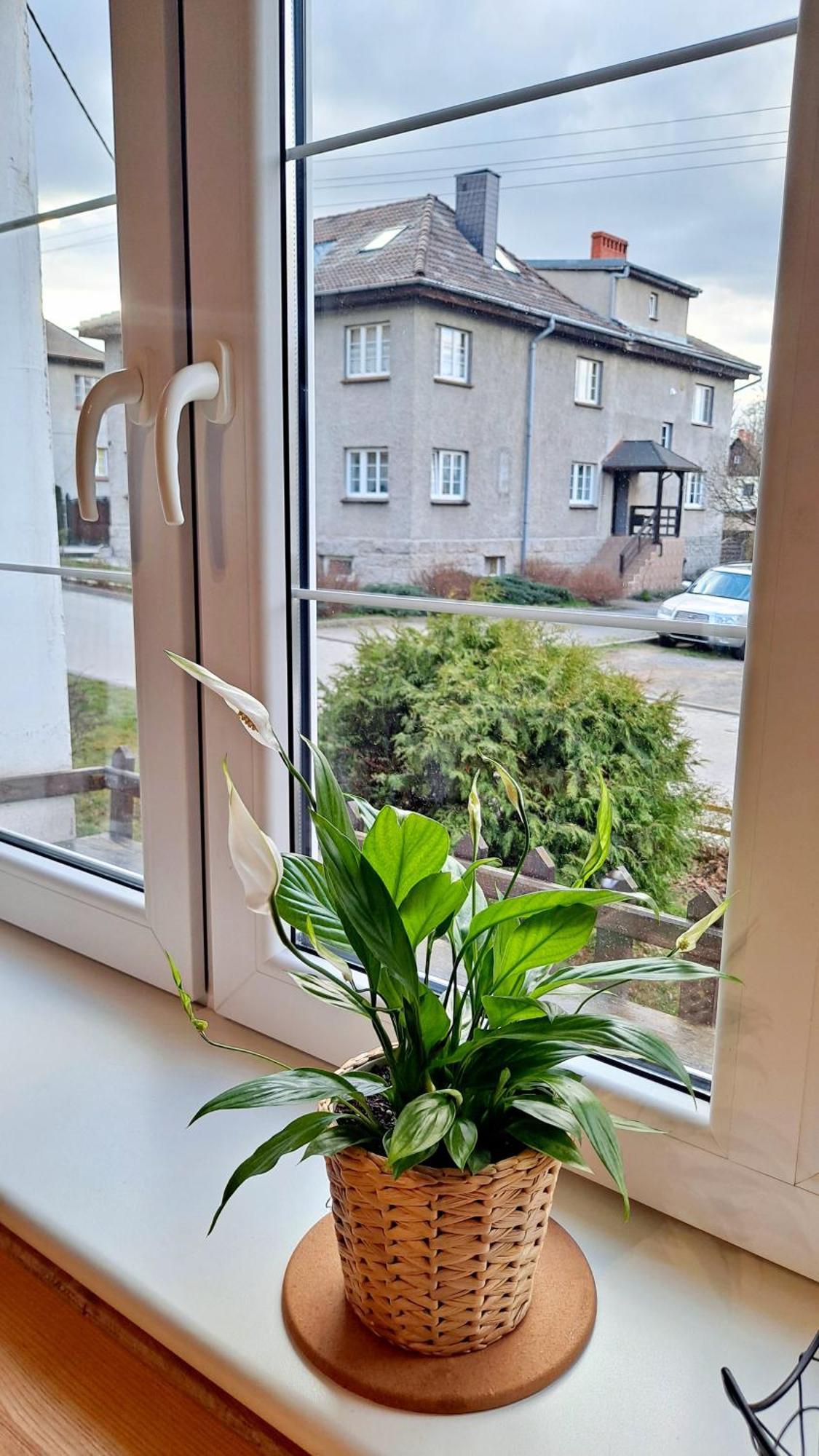 Apartament Dzika Roza 코바리 외부 사진